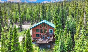 496 Hamilton Ln, Breckenridge, CO 80424
