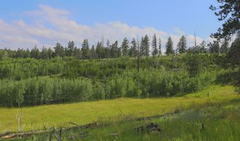 381 OLD CAMP Rd, Bellvue, CO 80512