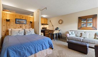 110 S PARK Ave 128, Breckenridge, CO 80424