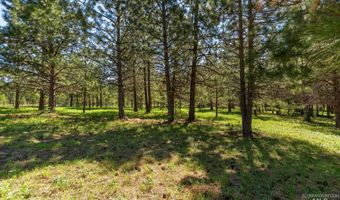 507 Bearlea Rd, Anatone, WA 99402