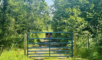 Macey Lane, Alpena, MI 49707