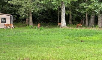 1904 Chatham Dr, Albany, GA 31721