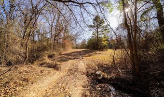 TBD CR 4650, De Kalb, TX 75559