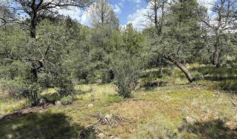 XY Black Dog Road, Silver City, NM 88061