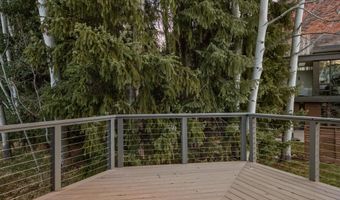 1650 Homestake Dr, Aspen, CO 81611