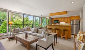 728 S Galena St 202-B, Aspen, CO 81611