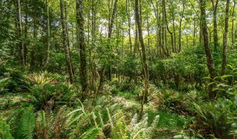 Shark Creek Ln, Arch Cape, OR 97102