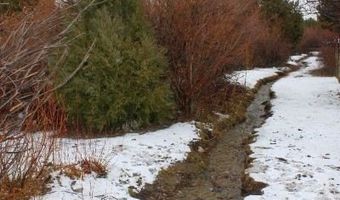 159 Eagle Nest Cir, Cold Creek, NV 89124