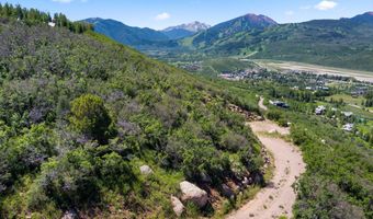 Trentaz Drive, Aspen, CO 81611