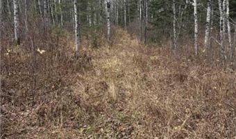 TBD Lane 55 County Road 341, Aurora, MN 55705