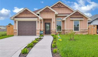 507 Tower Oak Dr, Alamo, TX 78516