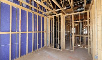 3102 Cathedral Comb Dr, Apex, NC 27502