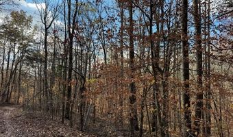 2 23 ACS Stone Clf, Albany, KY 42602