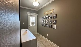 13815 Carrington Place Dr, Alexander, AR 72002