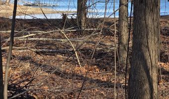 River Oak drive lot 7, Big Sandy, TN 28320