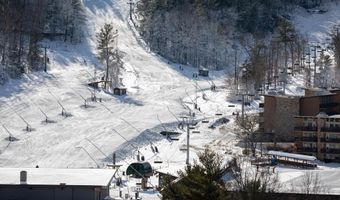 452- B SPITZ, Basye, VA 22810