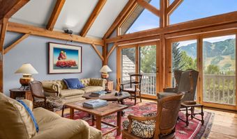 927 Red Mountain Rd, Aspen, CO 81611