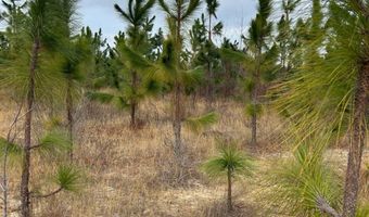 Red Oak Creek Road, Bethune, SC 29009