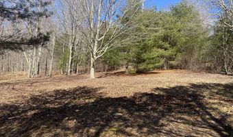 L21.1 Alder Pond Road, Andes, NY 13740