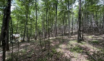 281 Eclipse Ln, Arbovale, WV 24915