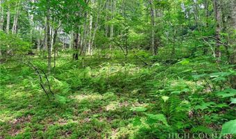 Chestnut Mountain Road, Banner Elk, NC 28604