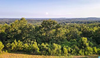 200 TABLEE LANE Lot 17.65, Ashland, AL 36251