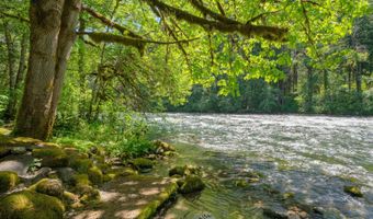 55636 MCKENZIE RIVER Dr 9, Blue River, OR 97413