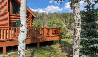 27667 Buckhorn Rd, Bellvue, CO 80512