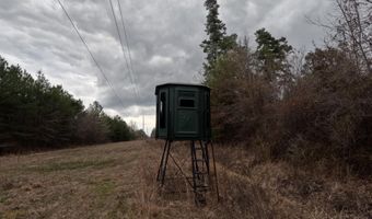 Christian Hts Road, Braxton, MS 39044