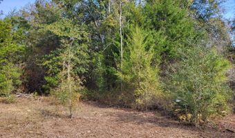 NW Tommy Tucker Road lot 1, Altha, FL 32421