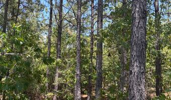 001 West Rd, Bethune, SC 29009