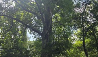 2132 Busby Trl, Brookhaven, MS 39601