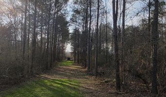 U.S. Highway 51, Bogue Chitto, MS 39629