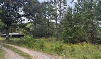 54 Shurley Ln, Austin, AR 72007