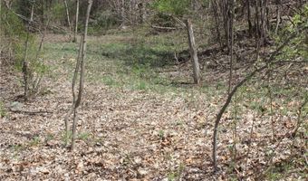 0 Old Route 22, Amenia, NY 12501