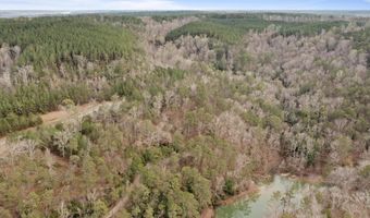 LOT 40 SIPSEY OVERLOOK, Double Springs, AL 35553