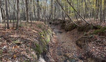 Hwy 9, Bruce, MS 38915