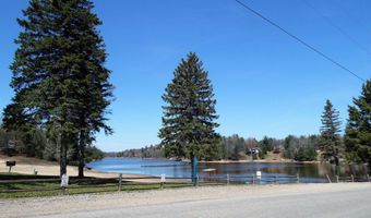 N Forest Lake Drive, Alger, MI 48610