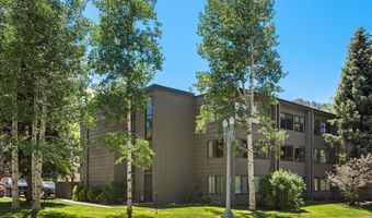 725 E Main St 107, Aspen, CO 81611