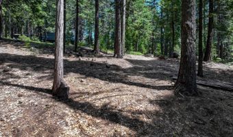 4741 Meko Dr, Camp Connell, CA 95223