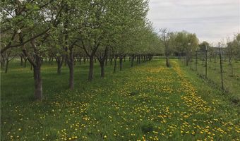 157 Hergenrider Rd, Bridger, MT 59014