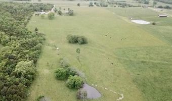 11830 Farm Road 1195, Aurora, MO 65605