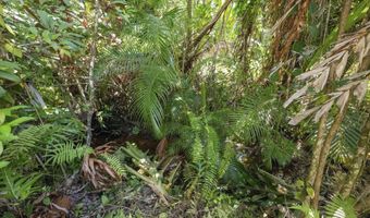 62 HOOLAWA Rd B, Haiku, HI 96708
