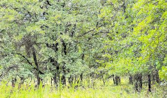 Tbd Dude Lane, Millsap, TX 76066