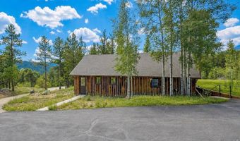 338 County Road 84 W, Allenspark, CO 80510