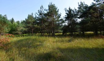 9537 LAKEVIEW Rd, Alanson, MI 49706