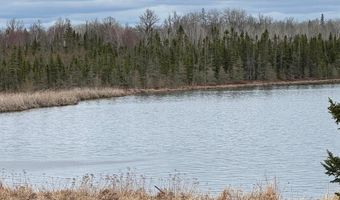 TBD40 Township Road 5743, Alborn, MN 55702