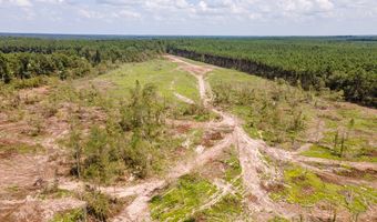 R53358 Tract 3 Hwy 94, Apple Springs, TX 75926