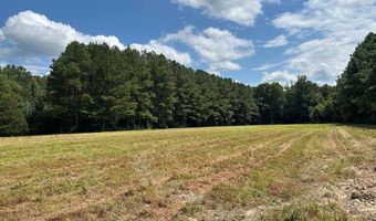 Pleasant Hill Road, Ashland, MS 38603