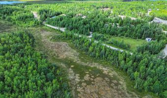 15850 W Huskie Dr, Big Lake, AK 99652